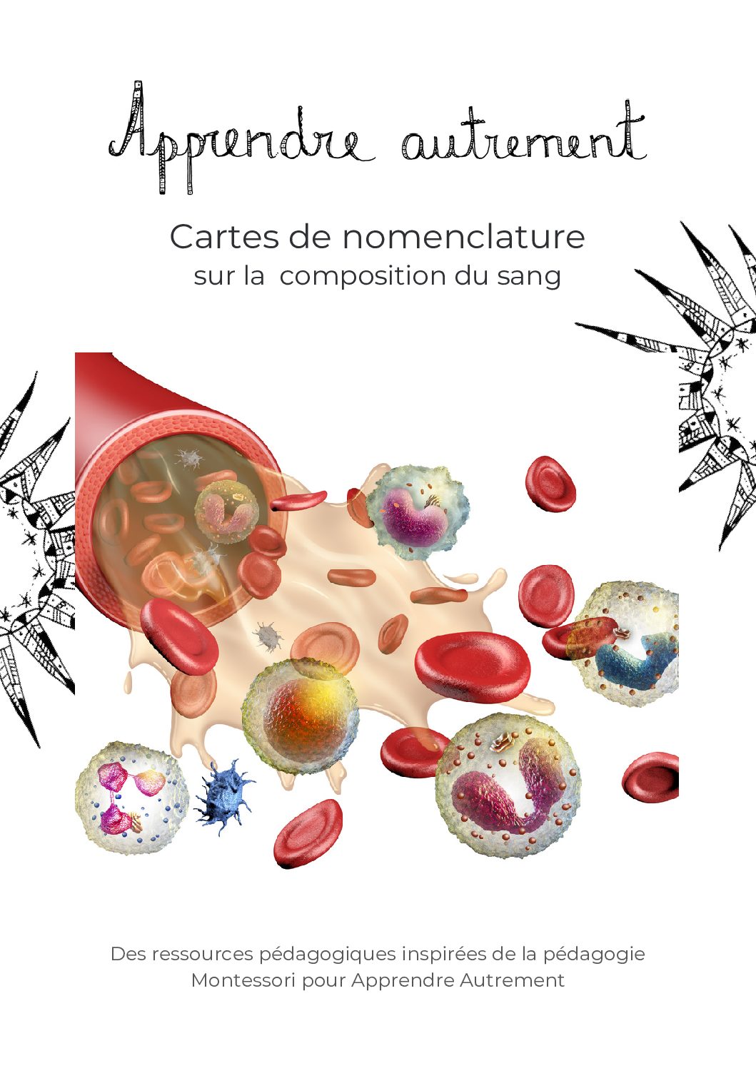 Nomenclature sur la composition du sang
