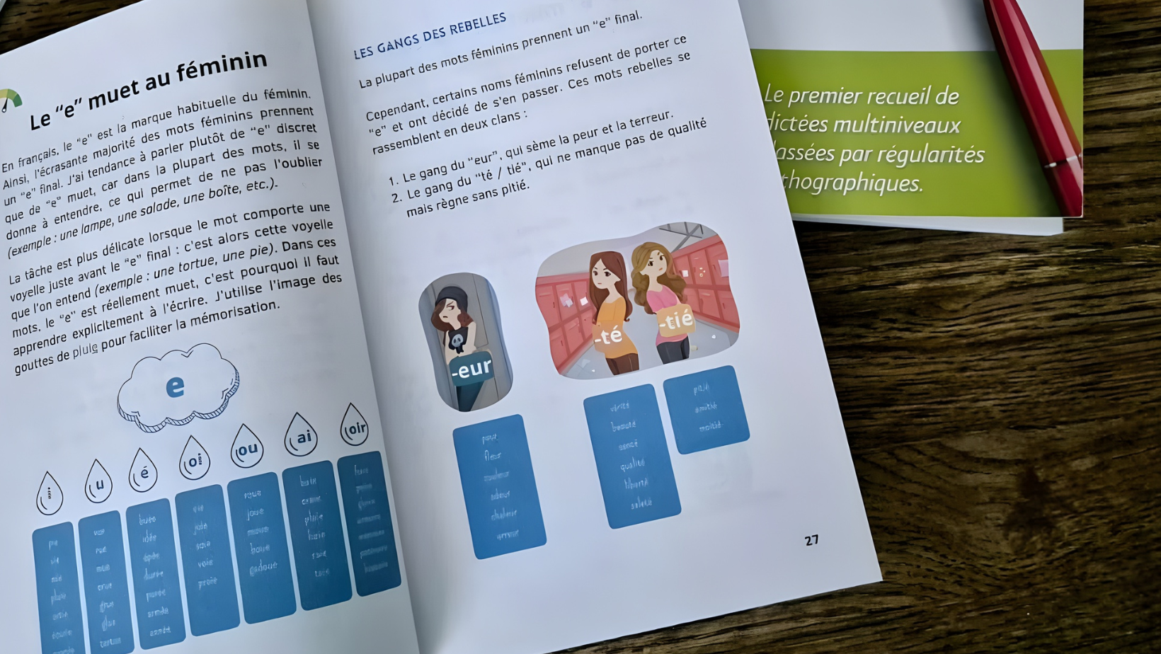 image blog Penser une progression claire et structurée en orthographe dans une approche Montessori