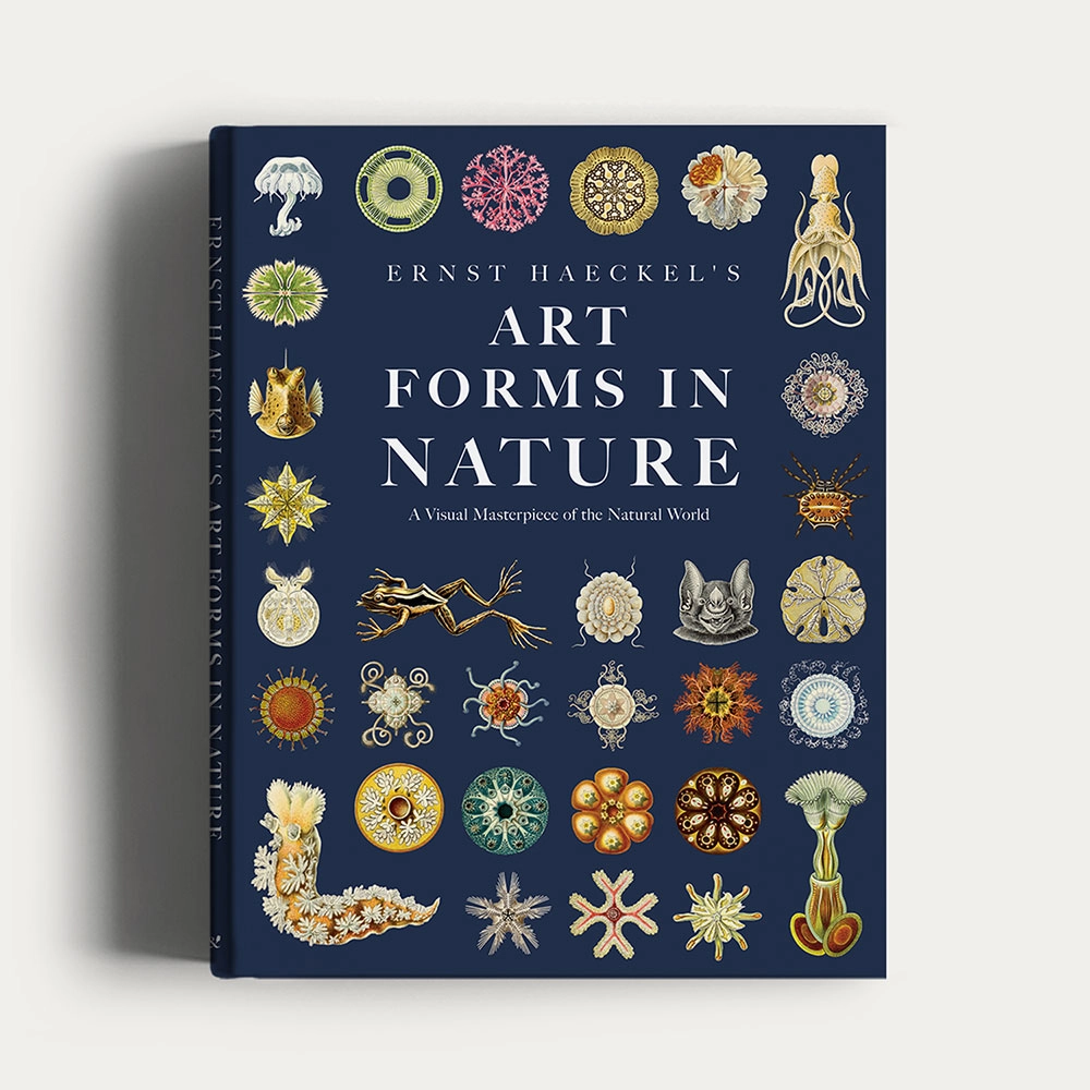 image blog: Comment la géométrie est enseignée en pédagogie Montessori