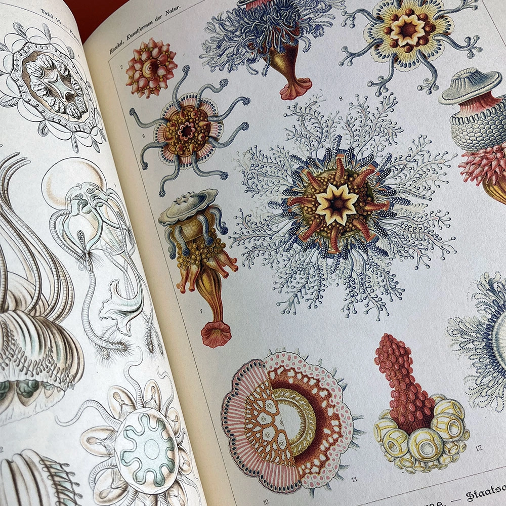 image blog: Comment la géométrie est enseignée en pédagogie Montessori