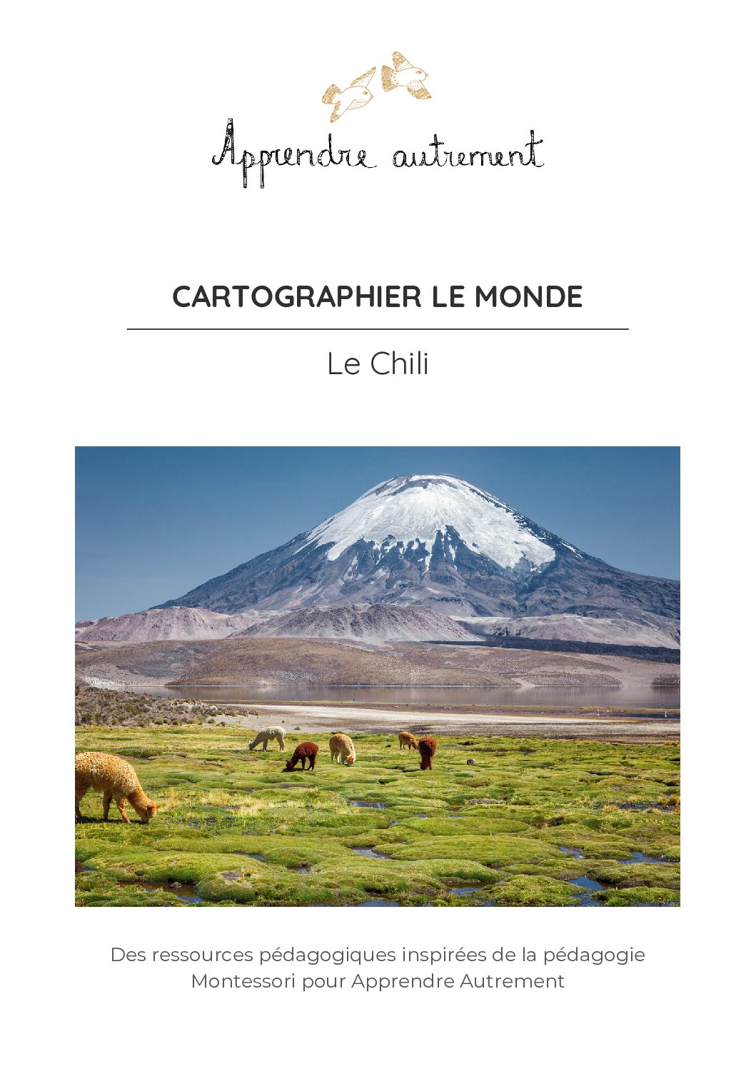 Cartographier le monde - le Chili